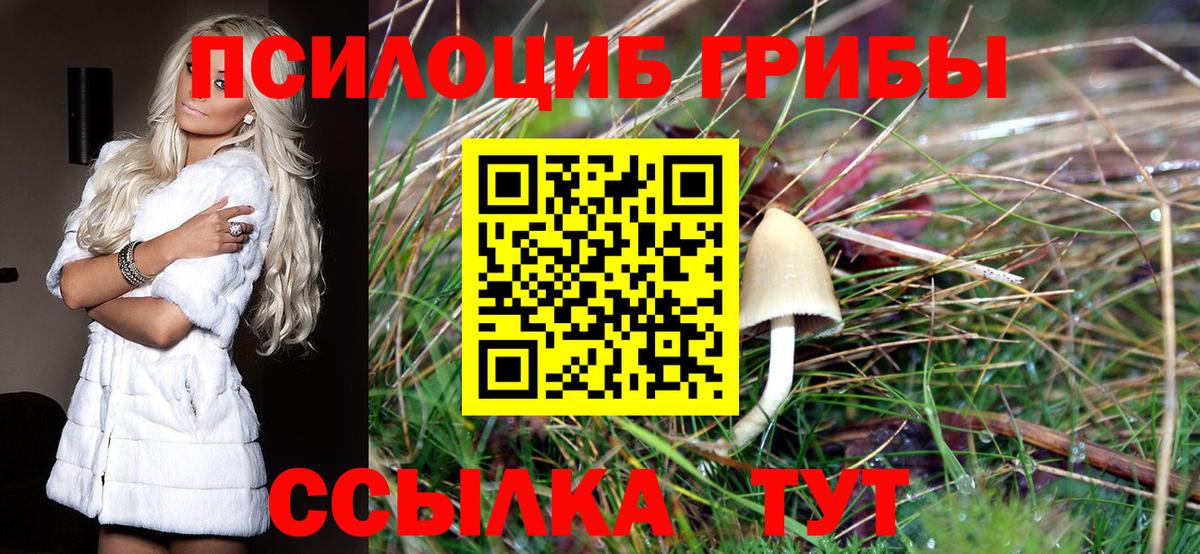 Псилоцибиновые грибы Magic Shrooms  Вход с VPN  Тавда  купить наркотик  Галлюциногенные грибы MAGIC MUSHROOMS 