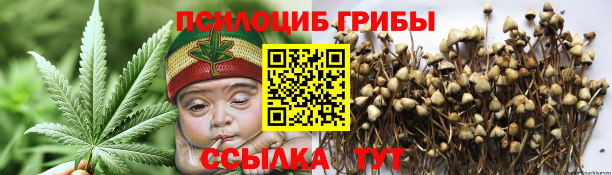 Галлюциногенные грибы ЛСД Тавда